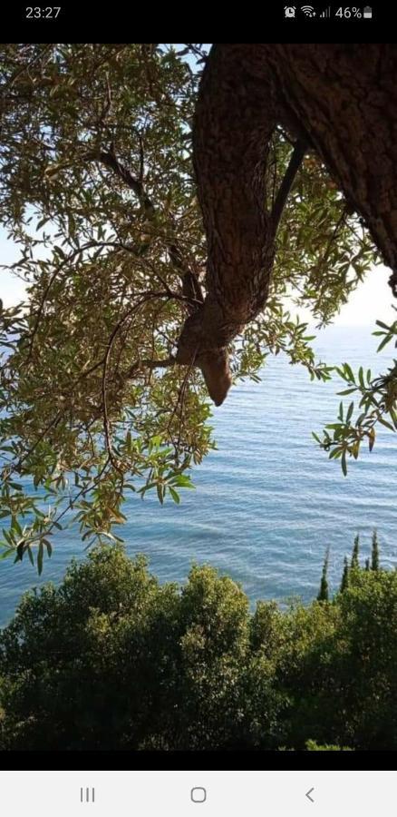 Hotel Lagjini Lukovë Dış mekan fotoğraf