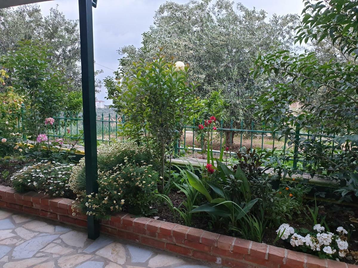 Hotel Lagjini Lukovë Dış mekan fotoğraf